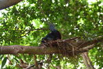 DSC_9140.JPG
